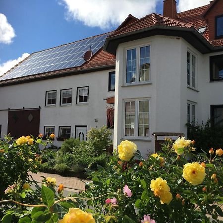 Gallowayhof Am Edersee Vohl Экстерьер фото