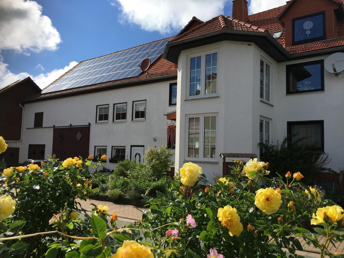Gallowayhof Am Edersee Vohl Экстерьер фото